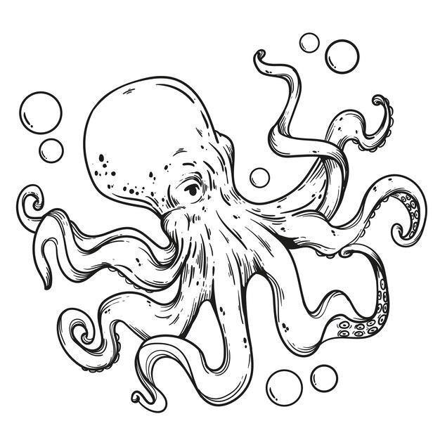 Ilustración de contorno de pulpo dibujado a mano