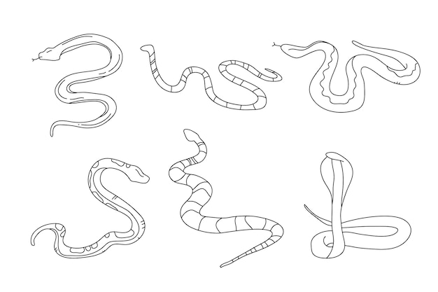 Ilustración de contorno de serpiente dibujada a mano