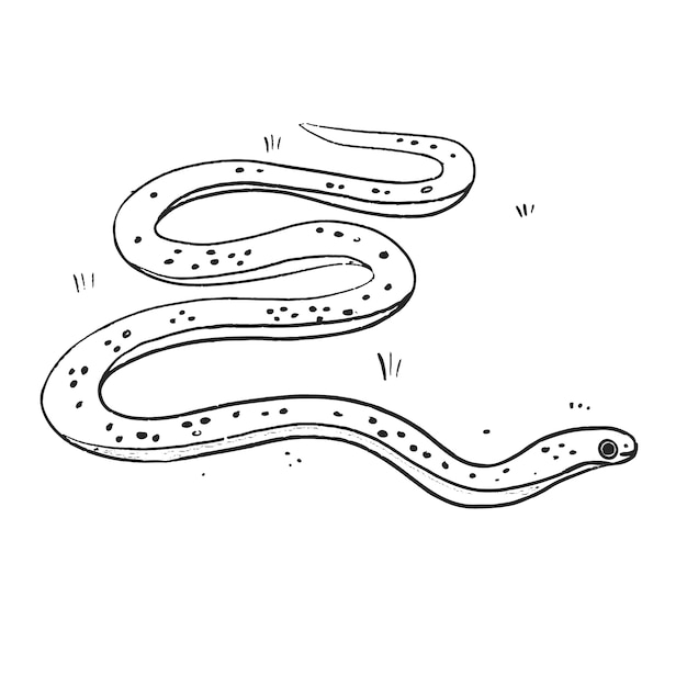 Vector gratuito ilustración de contorno de serpiente dibujada a mano