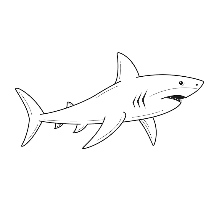 Vector gratuito ilustración del contorno del tiburón dibujada a mano