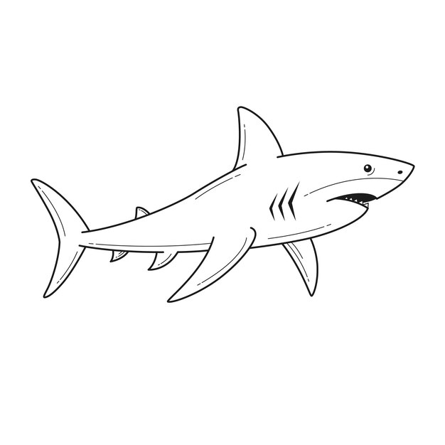 Ilustración del contorno del tiburón dibujada a mano