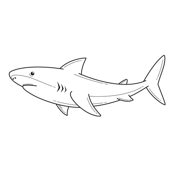 Ilustración del contorno del tiburón dibujada a mano