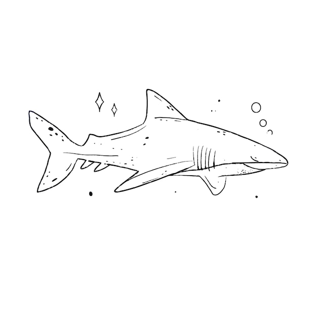 Ilustración de contorno de tiburón dibujado a mano