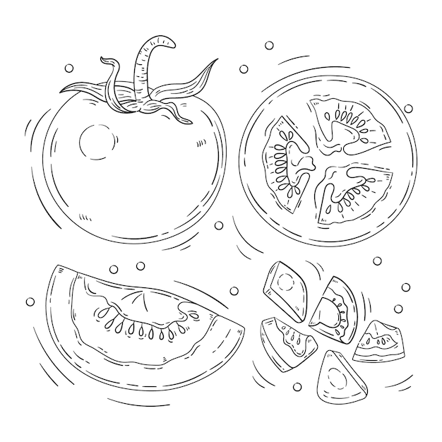 Ilustración del contorno del tomate dibujado a mano