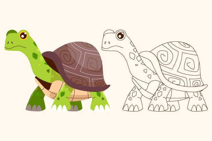 Vector gratuito ilustración de contorno de tortuga dibujada a mano