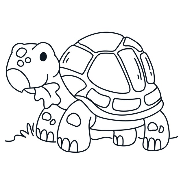 Ilustración de contorno de tortuga dibujada a mano