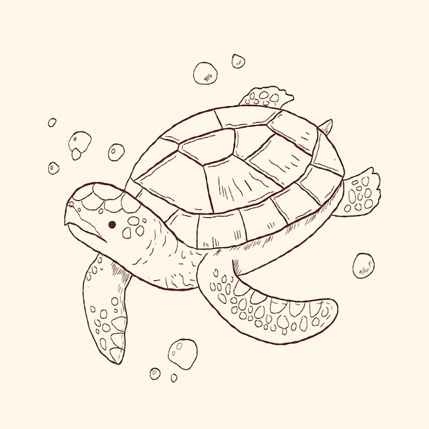 Ilustración de contorno de tortuga dibujada a mano