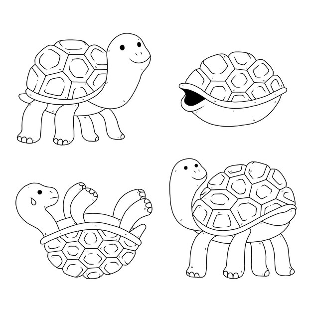 Ilustración de contorno de tortuga dibujada a mano