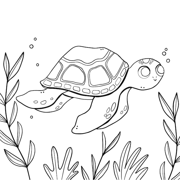 Ilustración del contorno de la tortuga dibujada a mano