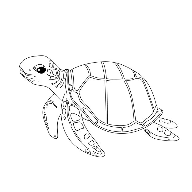 Ilustración de contorno de tortuga dibujada a mano