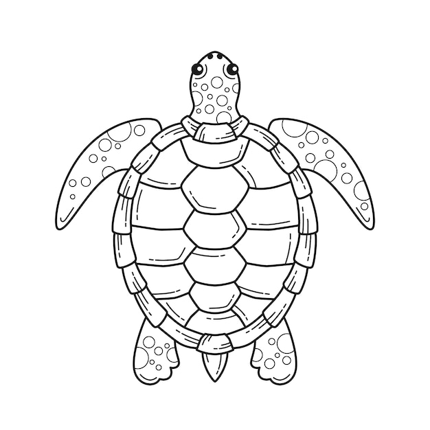 Vector gratuito ilustración de contorno de tortuga dibujada a mano