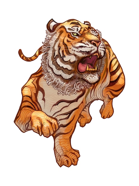 Ilustración dibujada a mano rugiente del tigre japonés