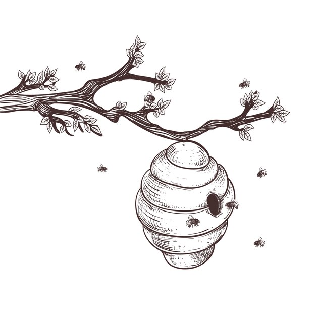 Ilustración de dibujo de abeja dibujada a mano