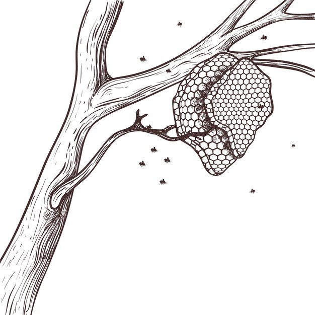 Ilustración de dibujo de abeja dibujada a mano
