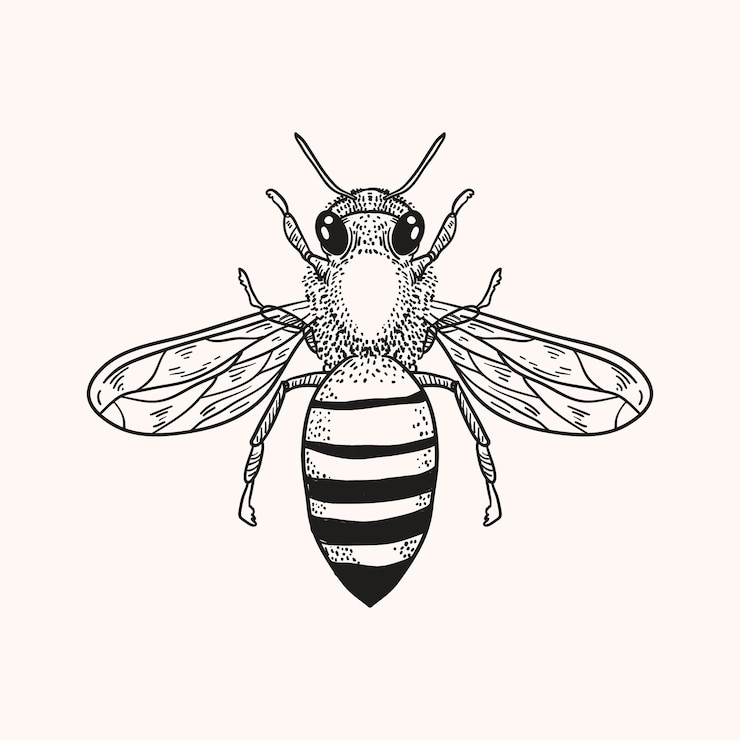 Vector gratuito ilustración de dibujo de abeja dibujada a mano