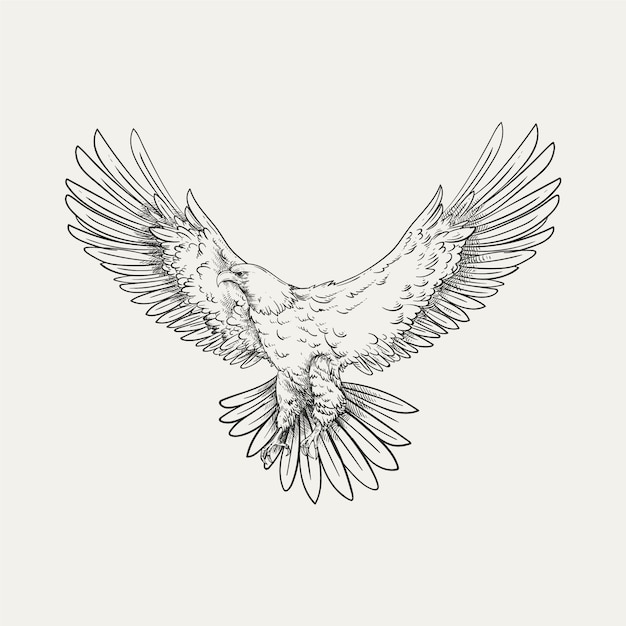 Ilustración de dibujo de águila voladora dibujada a mano