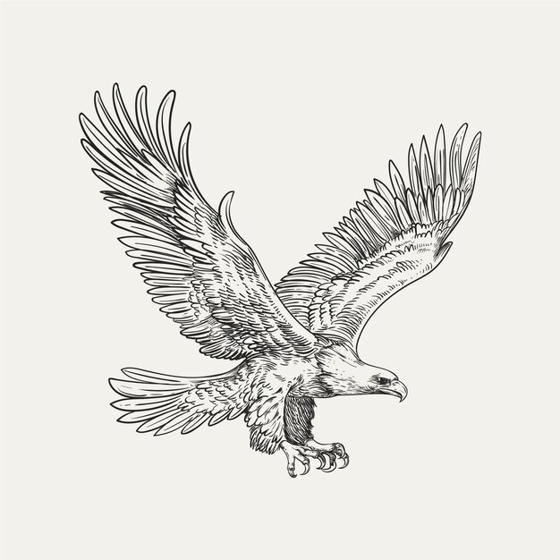 Ilustración de dibujo de águila volando dibujada a mano