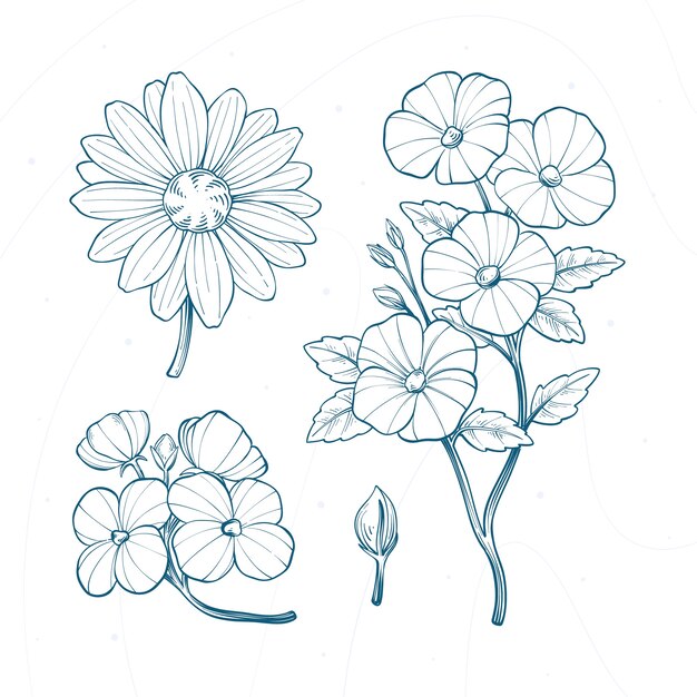 Ilustración de dibujo botánico dibujada a mano
