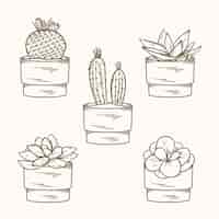 Vector gratuito ilustración de dibujo de cactus dibujado a mano