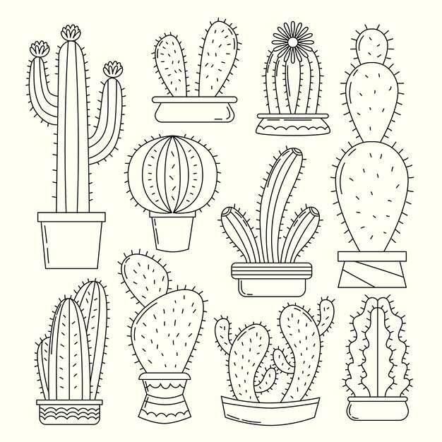 Ilustración de dibujo de cactus dibujado a mano