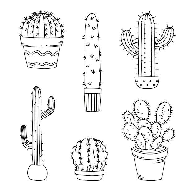 Vector gratuito ilustración de dibujo de cactus dibujado a mano