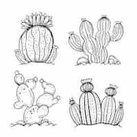 Vector gratuito ilustración de dibujo de cactus dibujado a mano