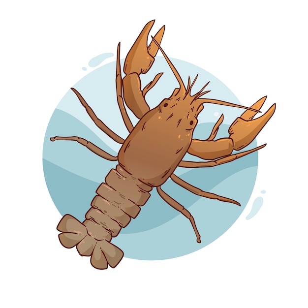 Ilustración de dibujo de cangrejo dibujado a mano