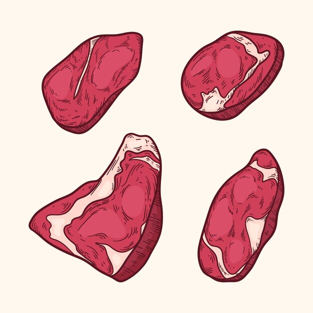 Ilustración de dibujo de carne dibujada a mano