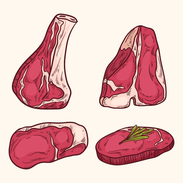 Vector gratuito ilustración de dibujo de carne dibujada a mano