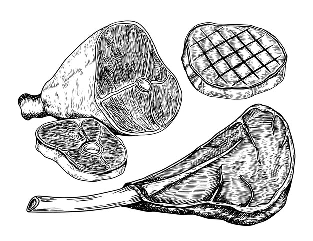 Ilustración de dibujo de carne dibujada a mano