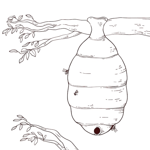 Ilustración de dibujo de colmena dibujada a mano