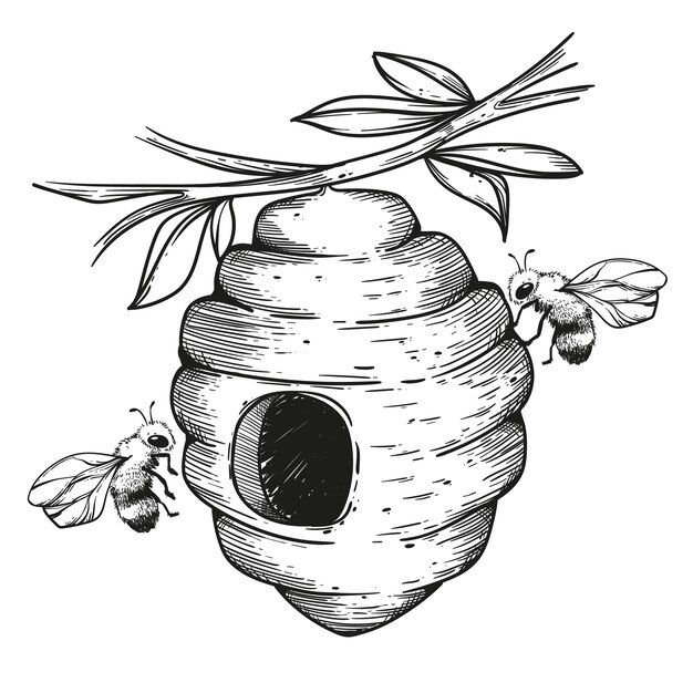 Ilustración de dibujo de colmena dibujada a mano