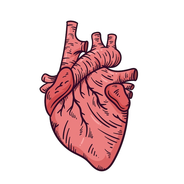 Vector gratuito ilustración de dibujo de corazón dibujado a mano