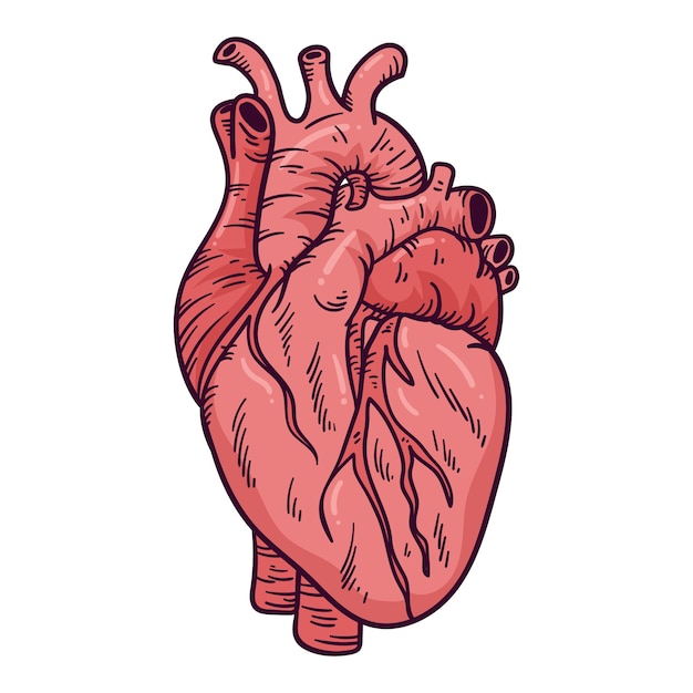 Ilustración de dibujo de corazón dibujado a mano