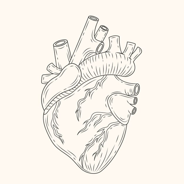 Ilustración de dibujo de corazón dibujado a mano