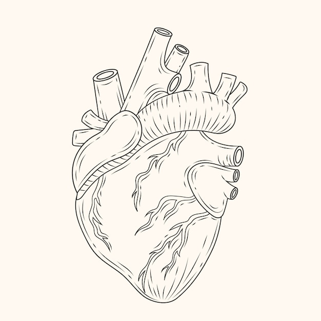 Ilustración de dibujo de corazón dibujado a mano
