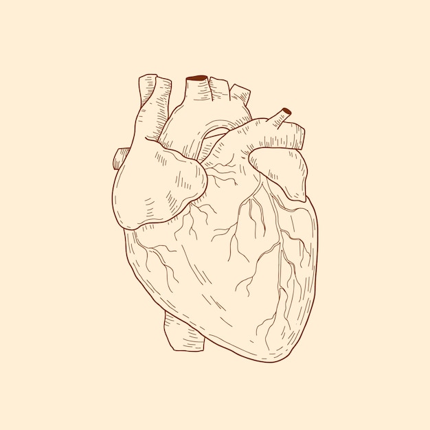 Vector gratuito ilustración de dibujo de corazón dibujado a mano