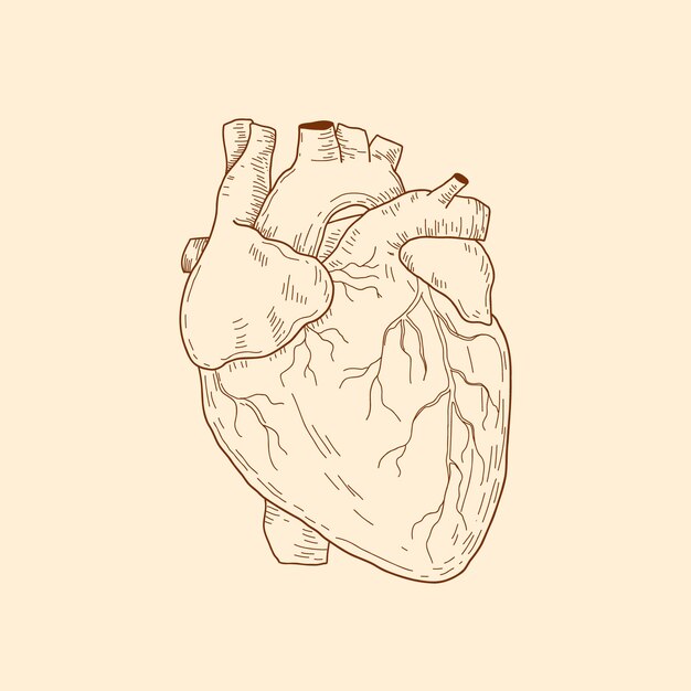 Ilustración de dibujo de corazón dibujado a mano