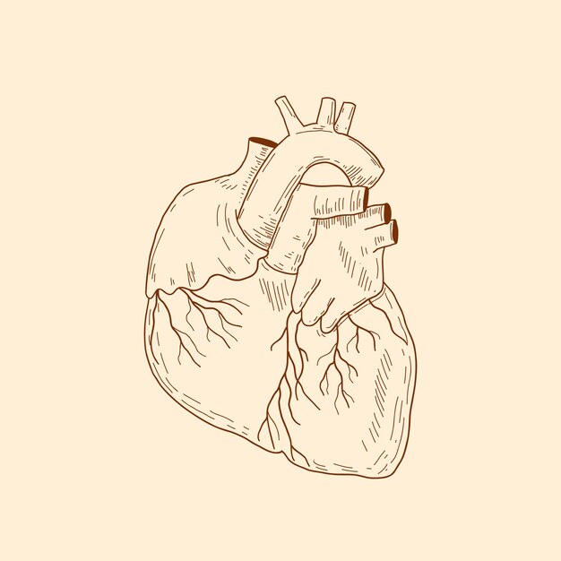 Ilustración de dibujo de corazón dibujado a mano