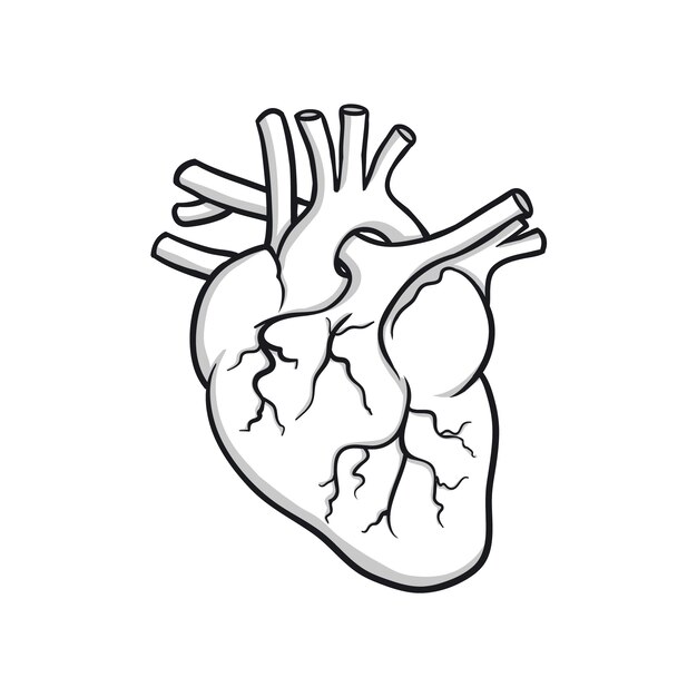 Ilustración de dibujo de corazón dibujado a mano