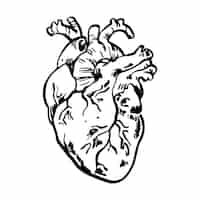 Vector gratuito ilustración de dibujo de corazón dibujado a mano