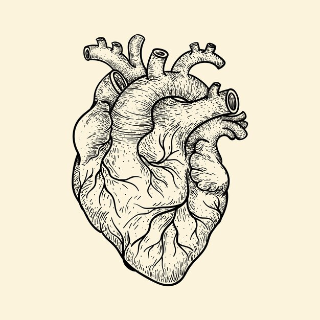 Ilustración de dibujo de corazón dibujado a mano