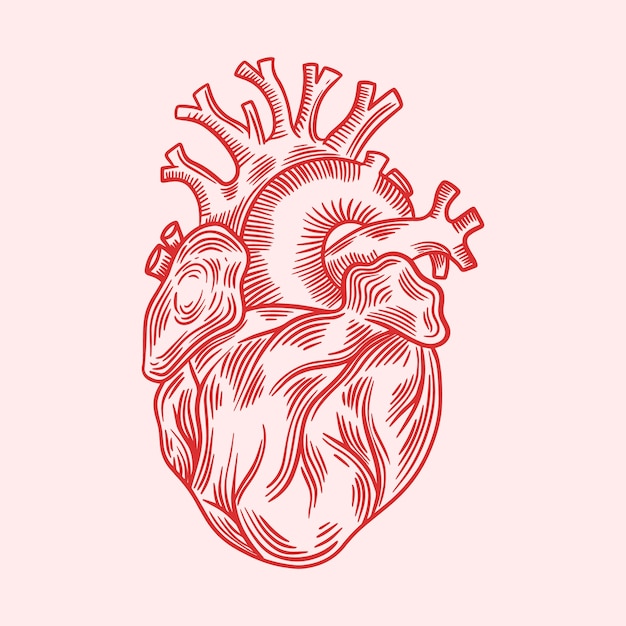 Ilustración de dibujo de corazón dibujado a mano