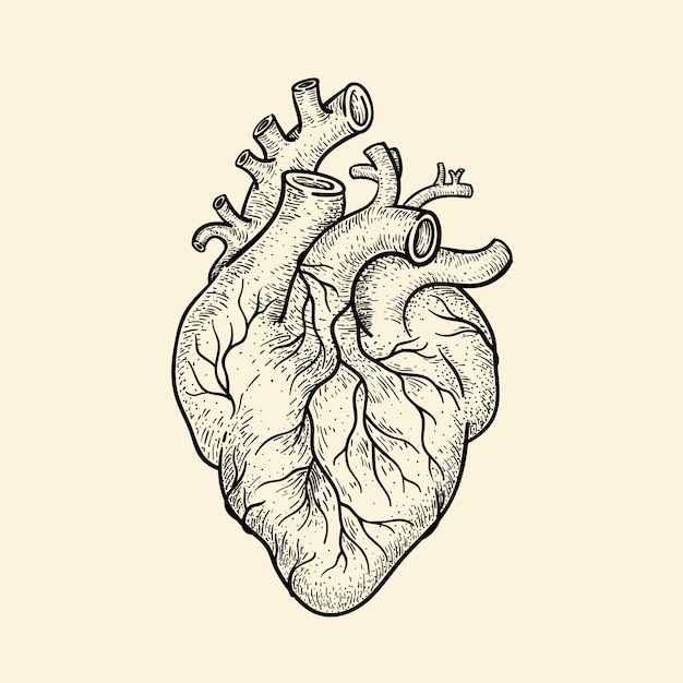 Ilustración de dibujo de corazón dibujado a mano