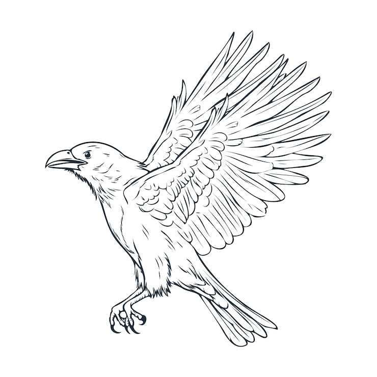 Vector gratuito ilustración de dibujo de cuervo volador dibujado a mano