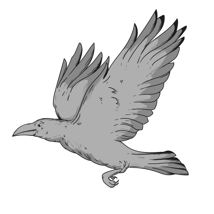 Vector gratuito ilustración de dibujo de cuervo volador dibujado a mano