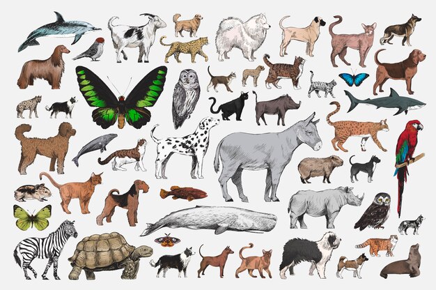 Ilustración de dibujo estilo de colección animal.