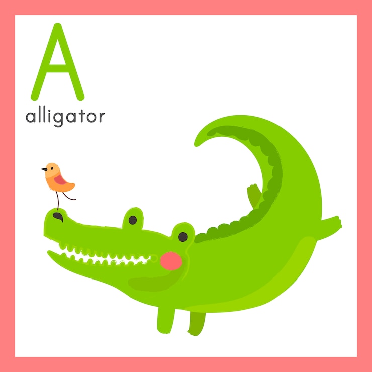 Vector gratuito ilustración, dibujo, estilo, conjunto, de, fauna
