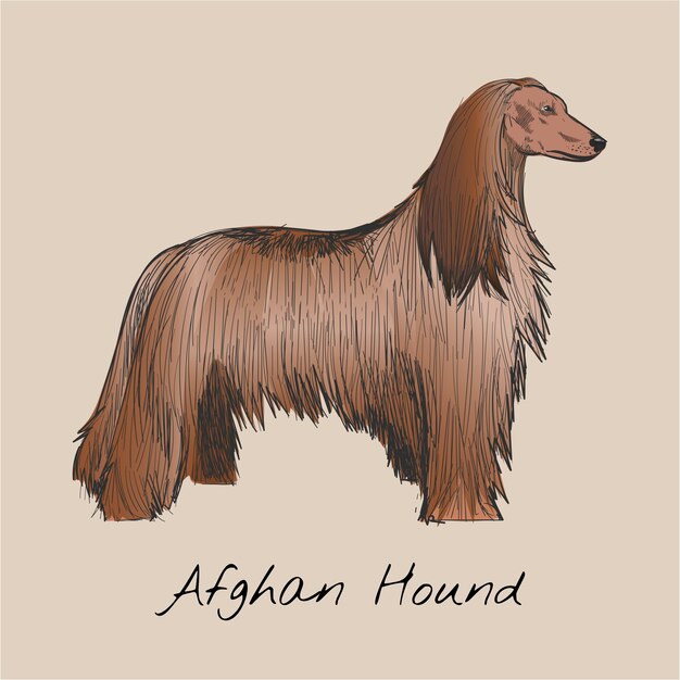 Ilustración de dibujo estilo de perro.