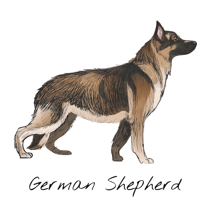 Vector gratuito ilustración de dibujo estilo de perro.